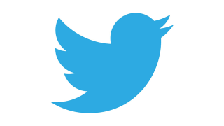Illustration for article titled Twitter's New Logo Is Actually Sonic the Hedgehog